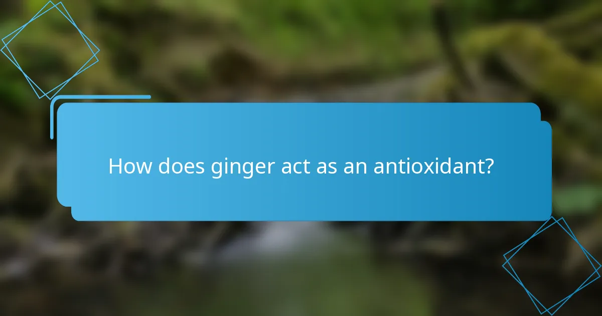 How does ginger act as an antioxidant?
