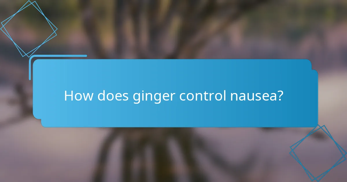 How does ginger control nausea?