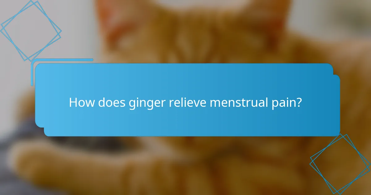 How does ginger relieve menstrual pain?