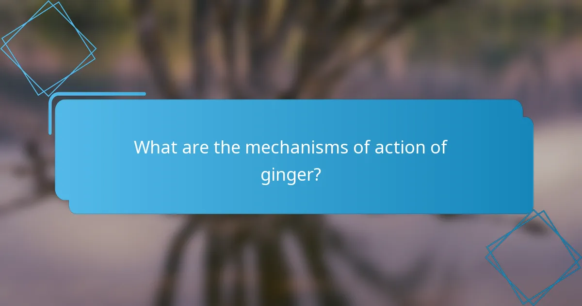 What are the mechanisms of action of ginger?