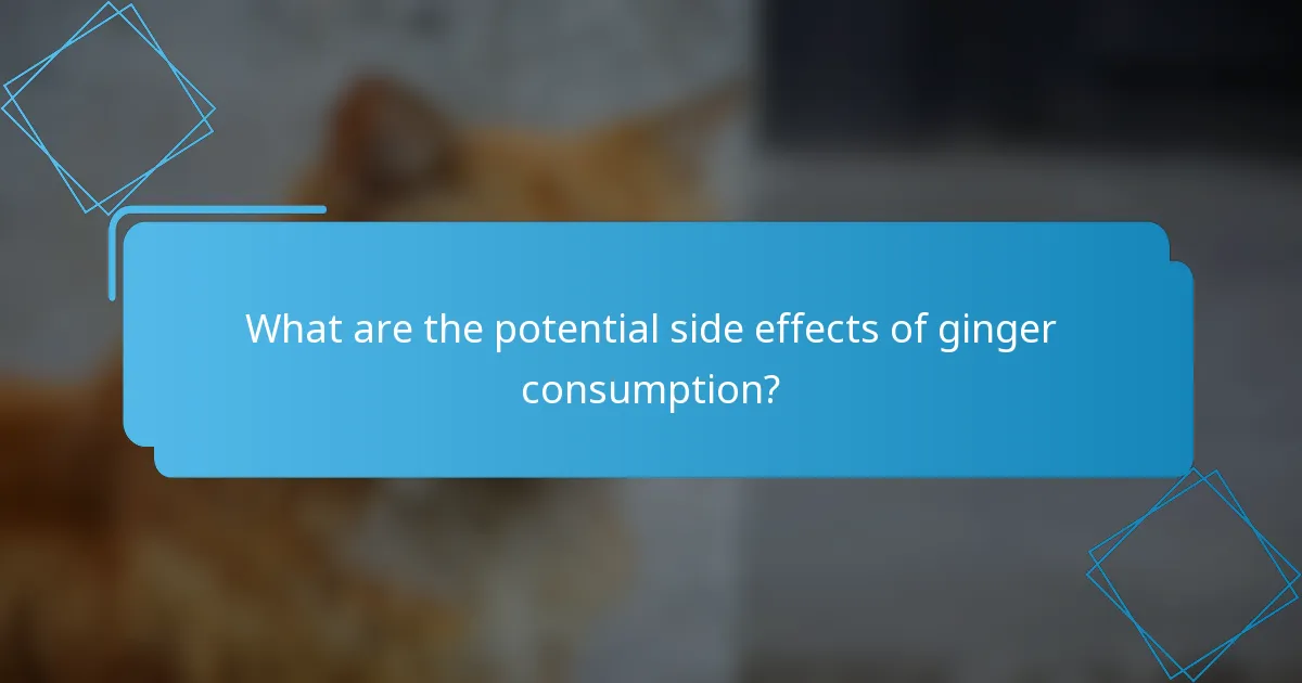 What are the potential side effects of ginger consumption?