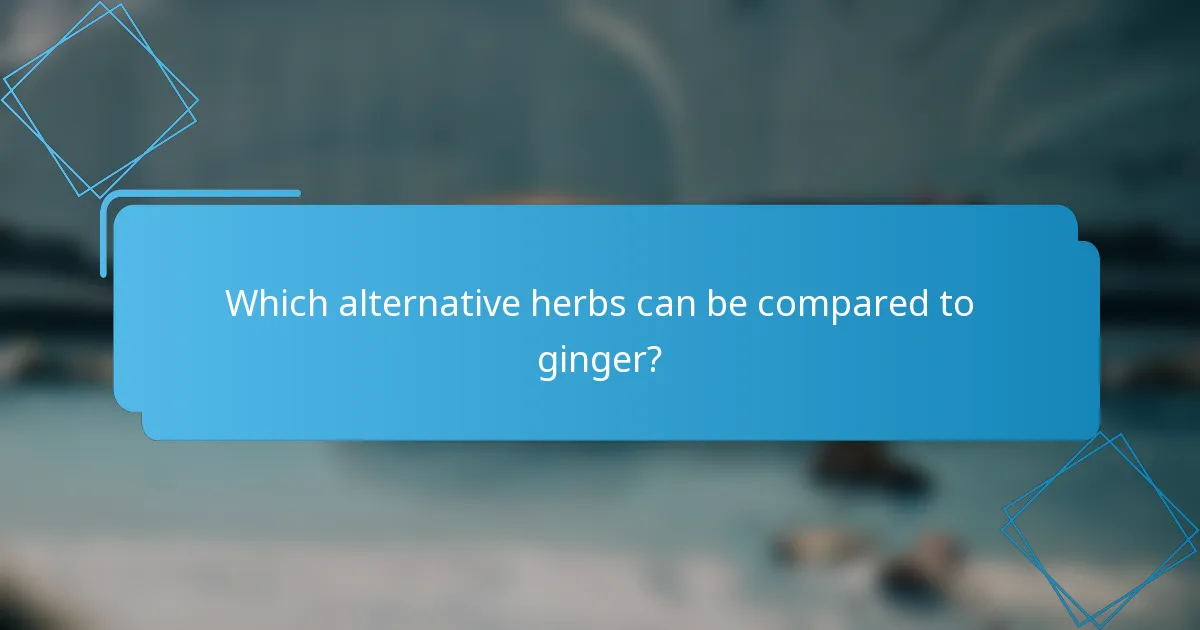 Which alternative herbs can be compared to ginger?