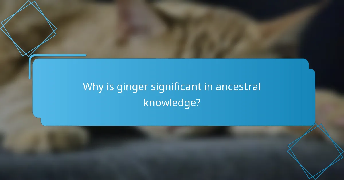 Why is ginger significant in ancestral knowledge?